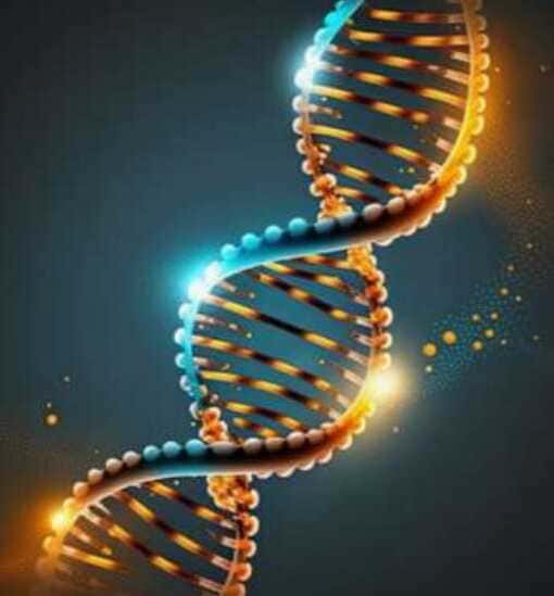 ALTIN DNA UYUMLAMASI